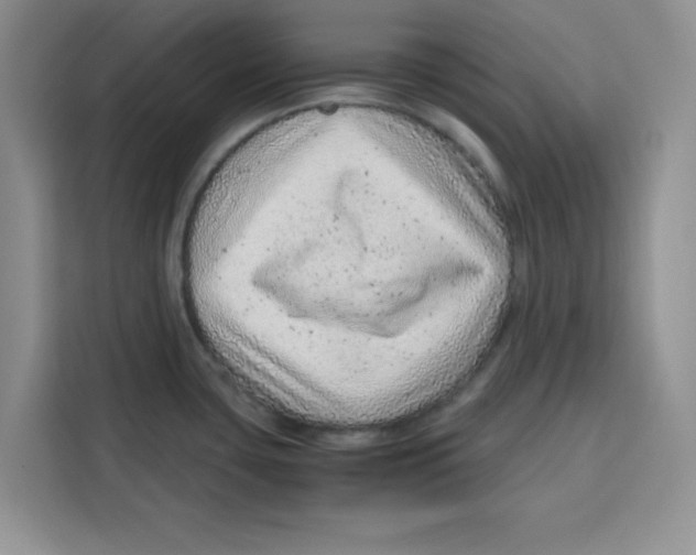 X0000115151435200911241520