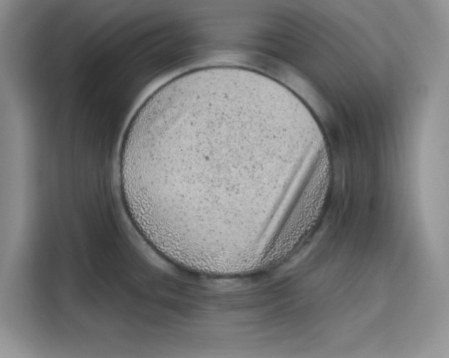 X0000115151436200911241520