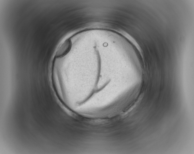 X0000115151437200911241520