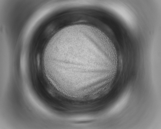 X0000115151439200911241520