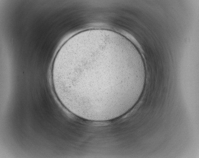 X0000115151440200911241520