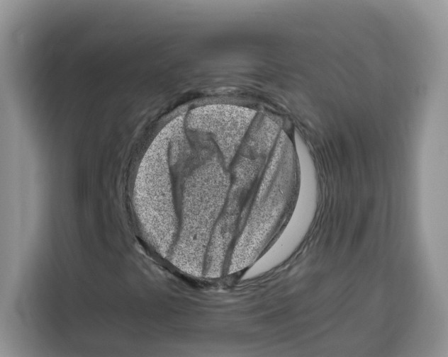 X0000115151441200911241519