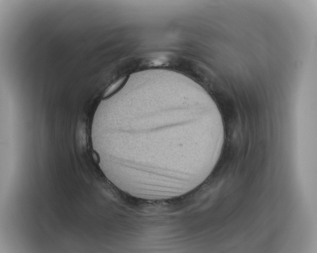 X0000115151442200911241519