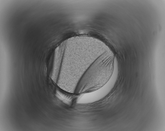 X0000115151443200911241519