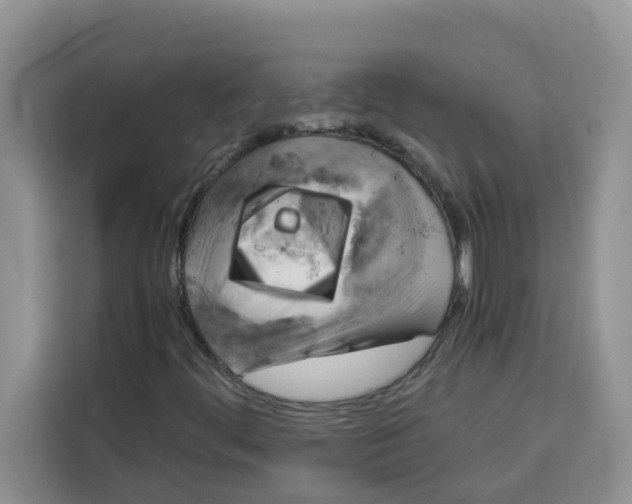 X0000115151444200911241519