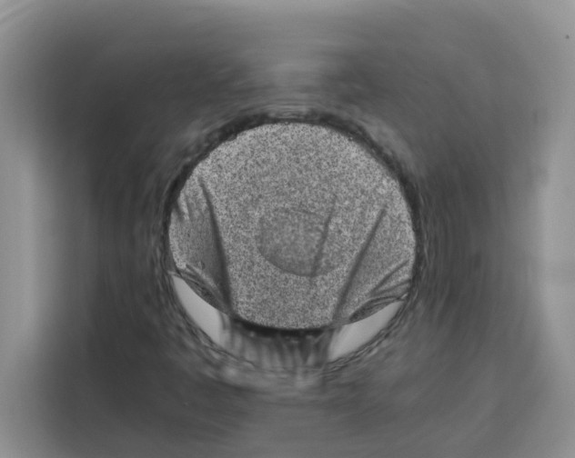 X0000115151445200911241519