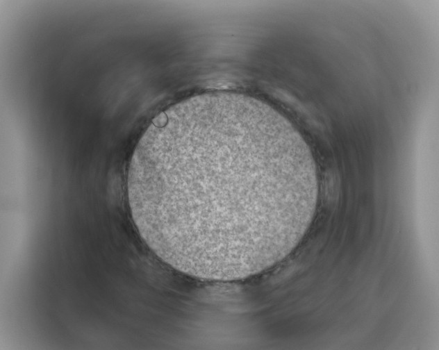 X0000115151446200911241519