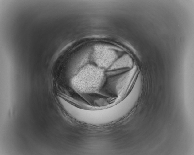 X0000115151448200911241519