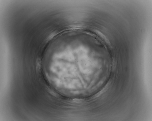 X0000115151449200911241519