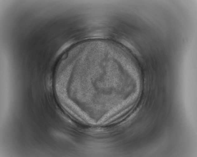 X0000115151450200911241519