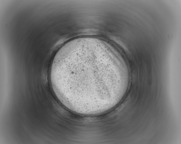 X0000115151451200911241519