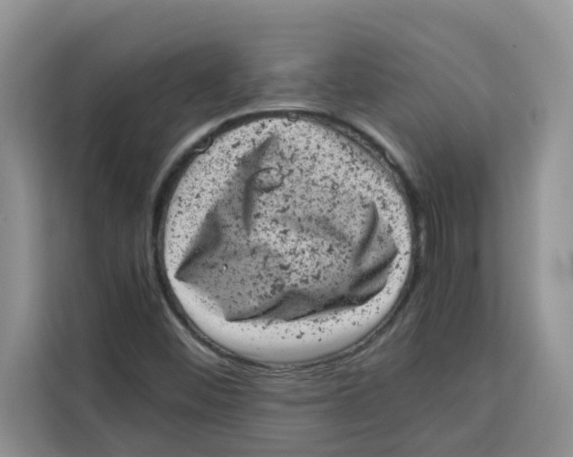 X0000115151452200911241519