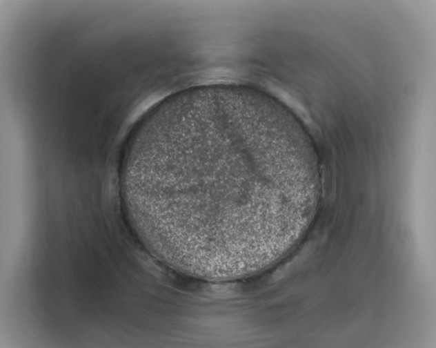 X0000115151453200911241519