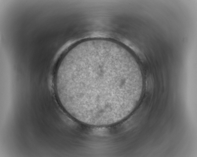 X0000115151454200911241519