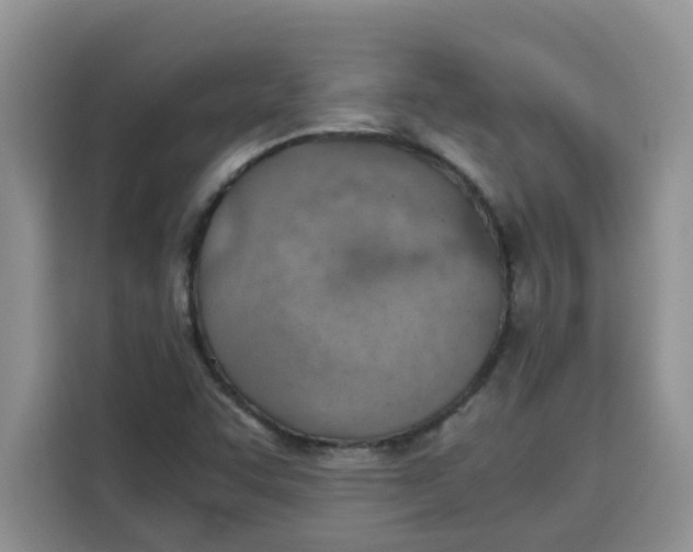 X0000115151455200911241519