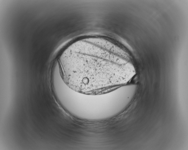 X0000115151456200911241519