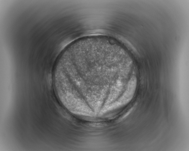 X0000115151457200911241519