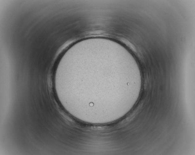 X0000115151458200911241519