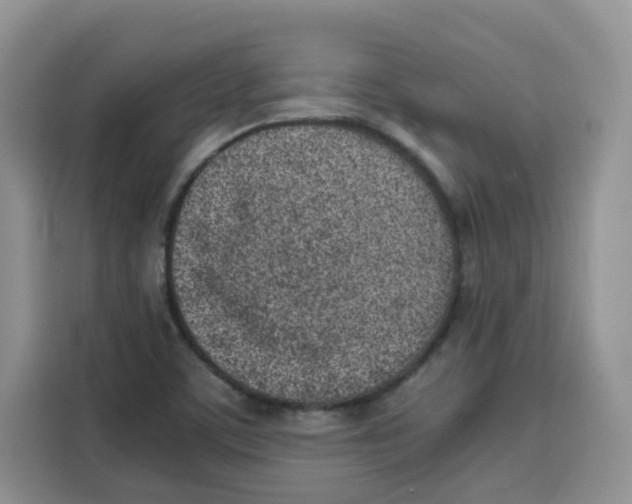 X0000115151459200911241519