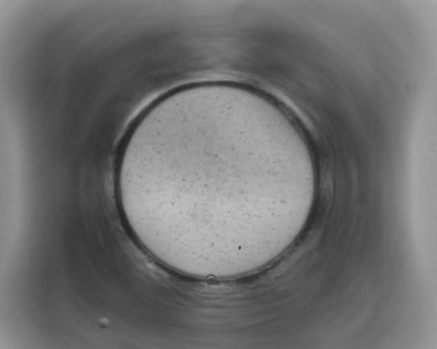 X0000115151460200911241519