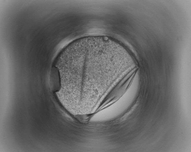 X0000115151461200911241519