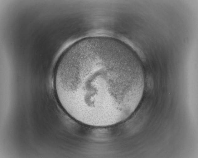 X0000115151462200911241519