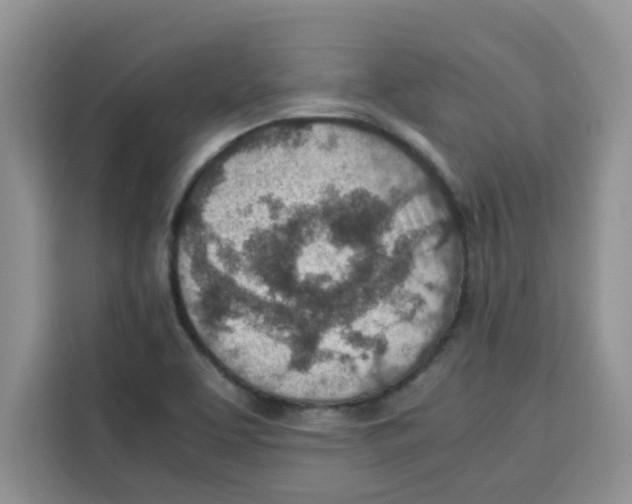 X0000115151463200911241519