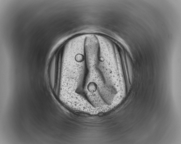 X0000115151464200911241519