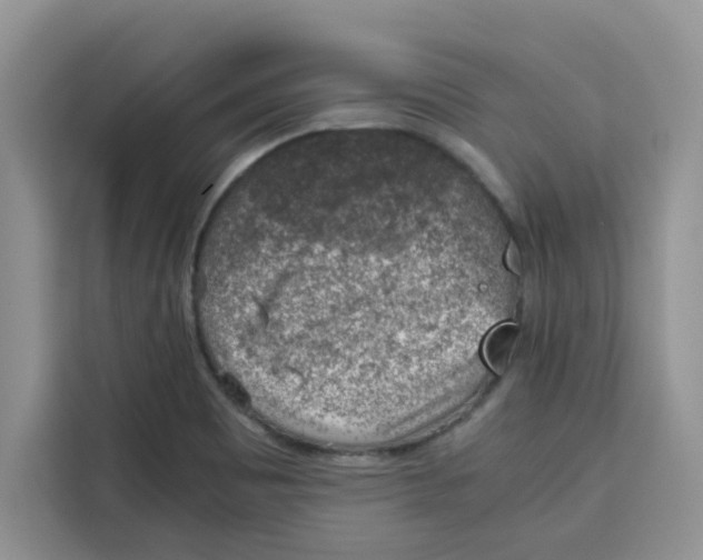 X0000115151465200911241519