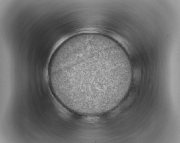 X0000115151466200911241519