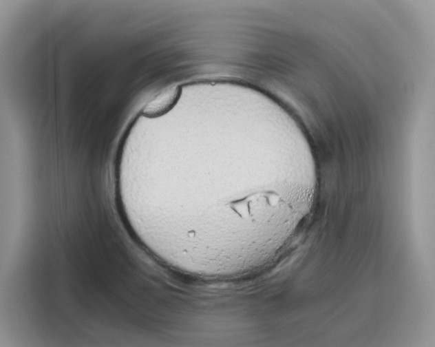 X0000115151467200911241519