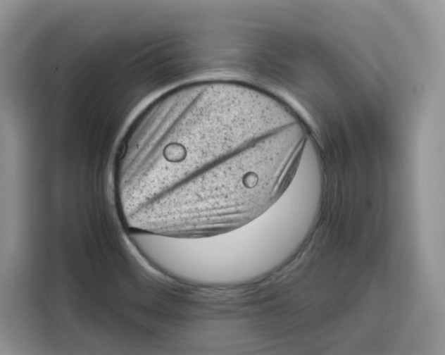 X0000115151468200911241519