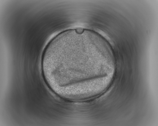 X0000115151469200911241519