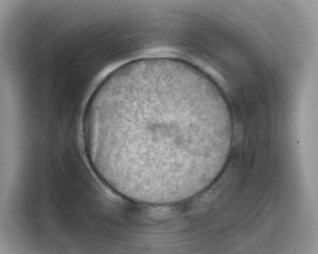 X0000115151470200911241519