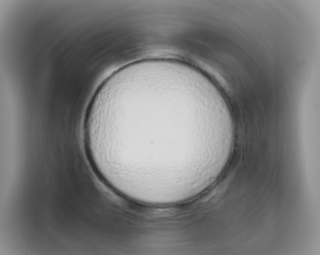 X0000115151471200911241519