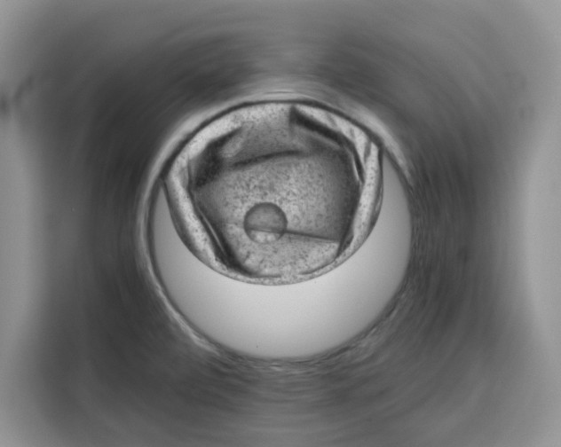 X0000115151472200911241519