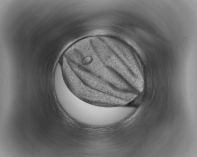 X0000115151473200911241519