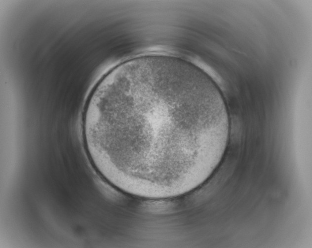 X0000115151474200911241519