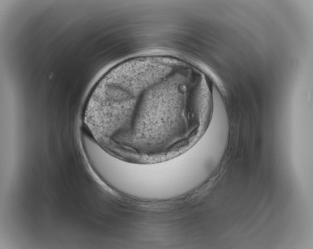 X0000115151476200911241519