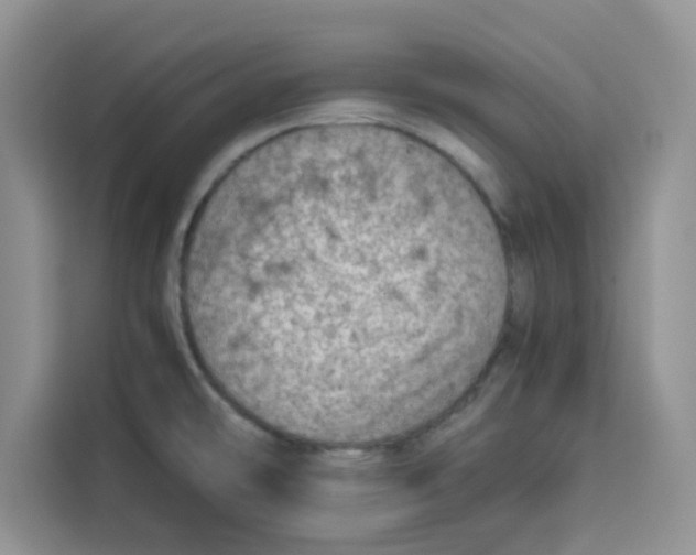 X0000115151478200911241519