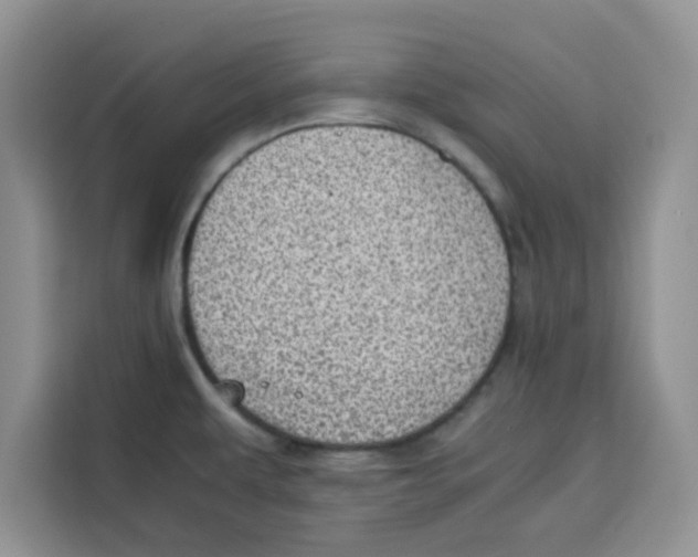 X0000115151479200911241519