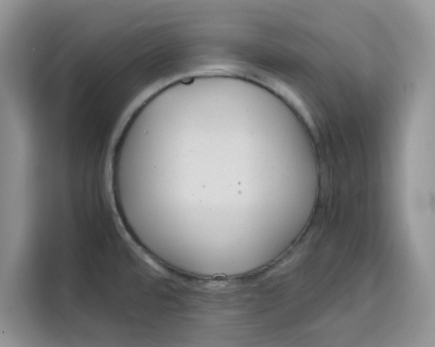 X0000115151480200911241518