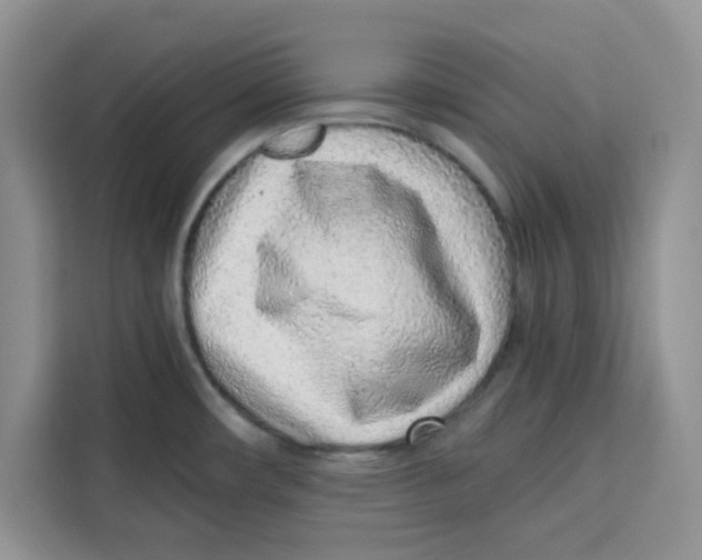 X0000115151482200911241518