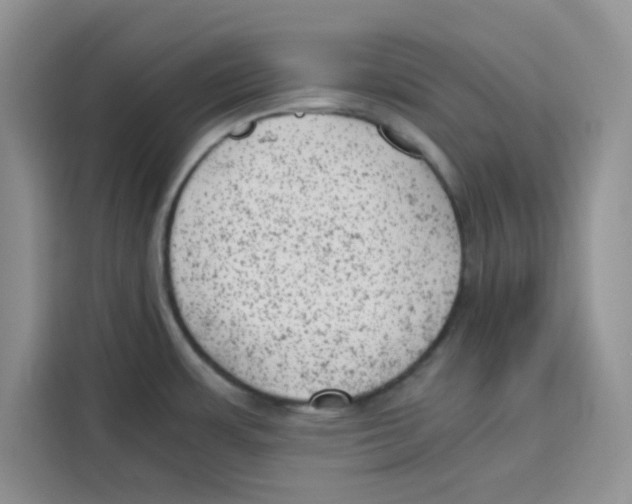 X0000115151483200911241518