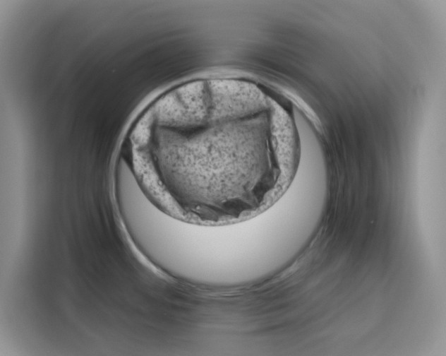 X0000115151484200911241518