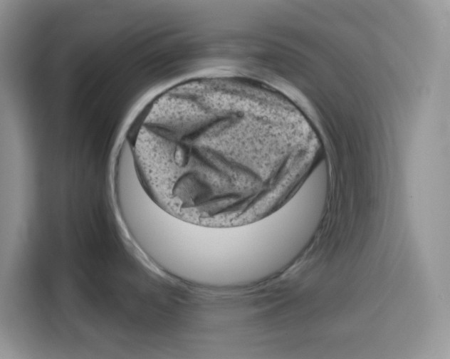 X0000115151488200911241518