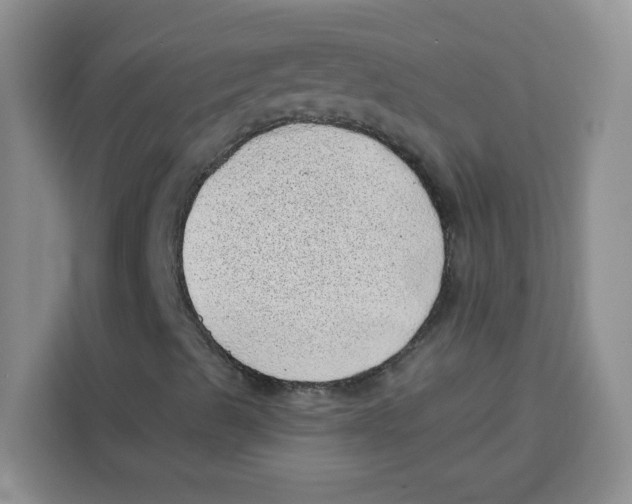 X0000115151489200911241518