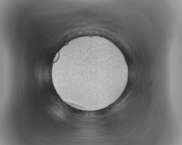 X0000115151490200911241518