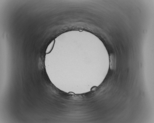 X0000115151491200911241518