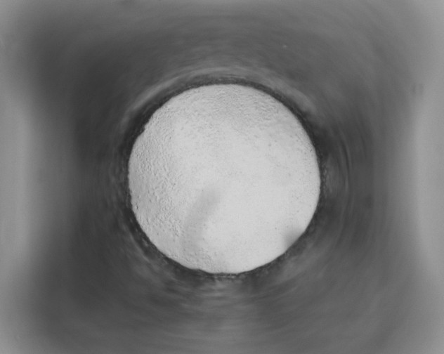 X0000115151494200911241518